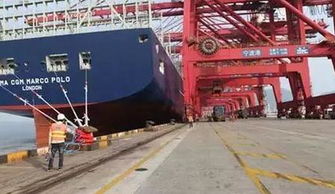 中国港口集装箱网与港口货物装卸搬运活动的发展与创新