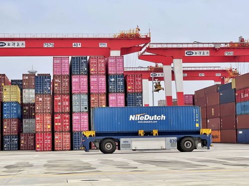 日均吞吐量保持10万标准箱以上 解密洋山港如何高效组织港口装卸搬运活动