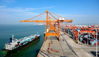 钦州港海关陆海新通道专窗 24小时通关加速，助力港口装卸搬运高效运转