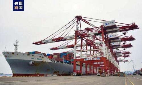 首票雄安自贸试验区进口海运货物在天津港顺利接卸，推动港口货物装卸搬运活动高效发展
