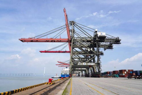 厦门港新航线开通，14小时直达提升货物装卸搬运效率